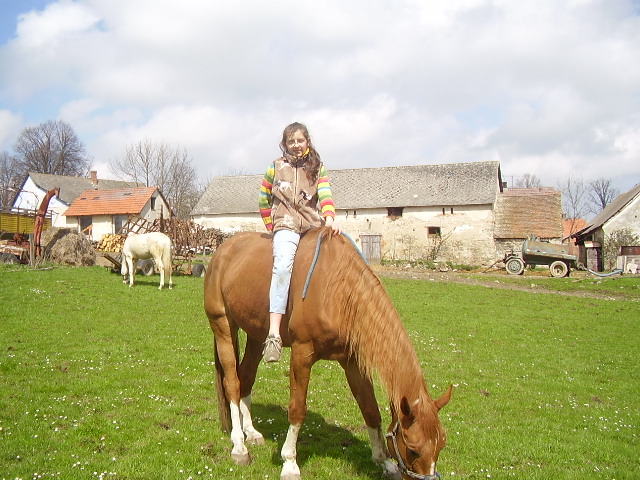 zviratka 057.jpg